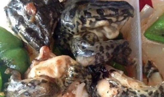 云南硬菜辣椒炒石头 厉害了那些黑暗料理 背后还有一段艰辛历史