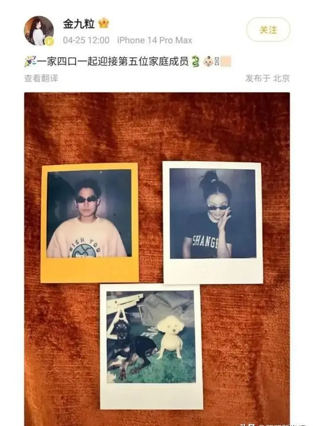 娱乐圈隐藏的情侣_明星恋情公开2024_新晋情侣曝光